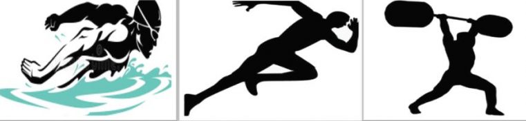 Alpha Sports Coaching